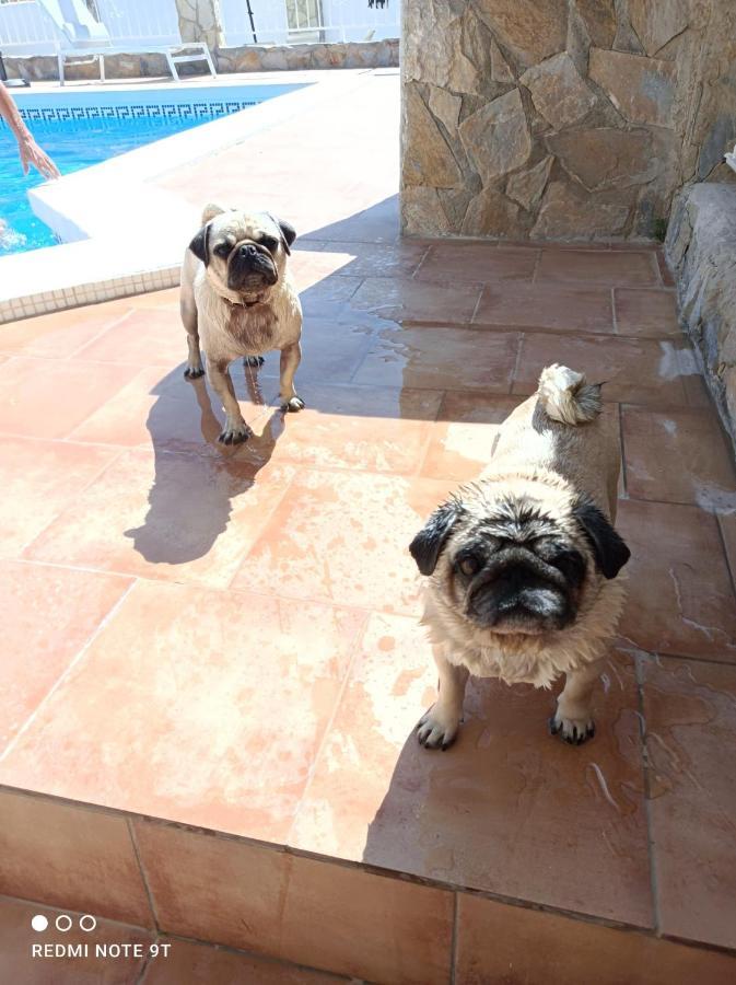 Apartment Costa Blanca มุทชาเมล ภายนอก รูปภาพ